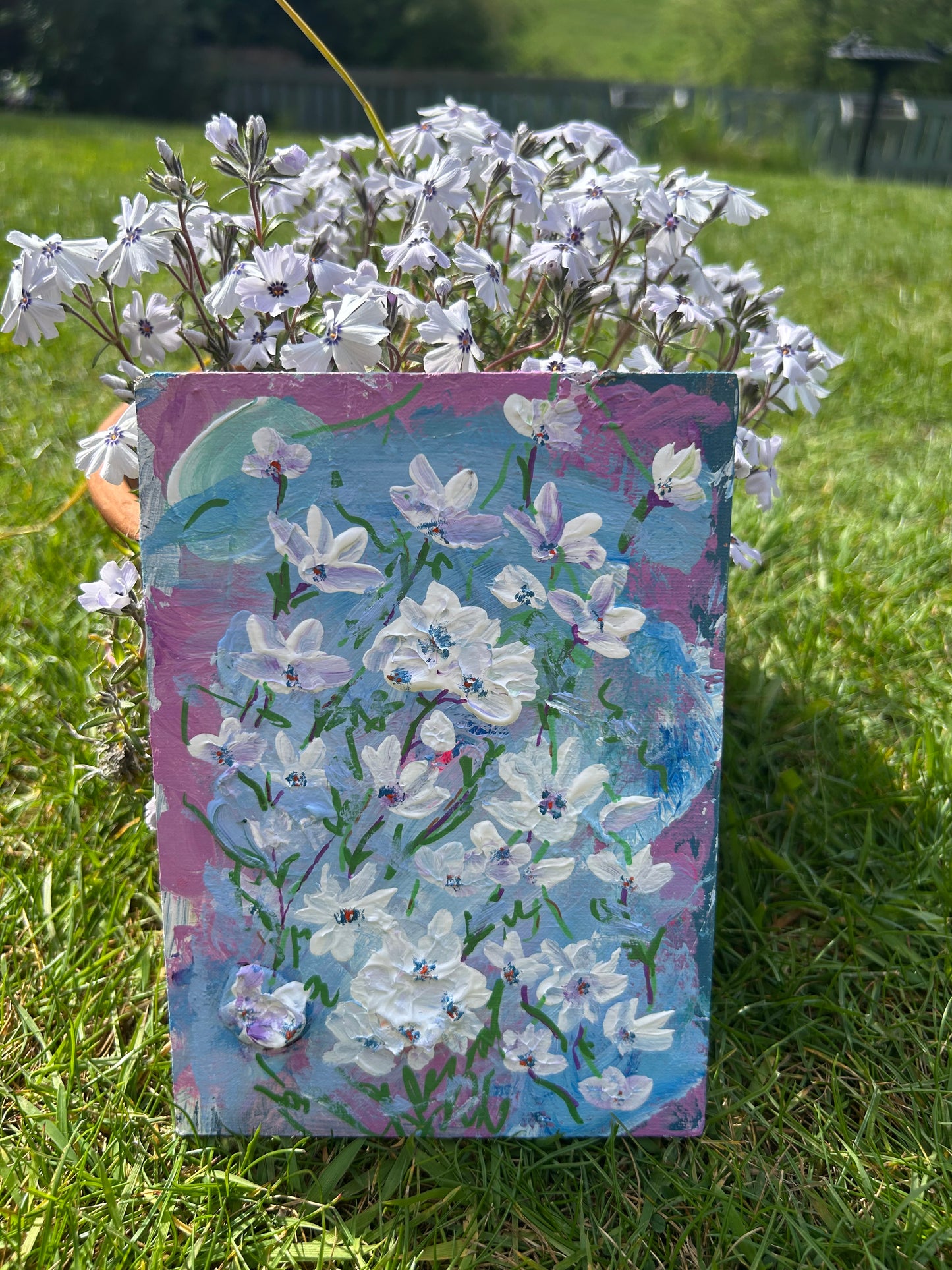 The First Phlox (original acrylic on board)