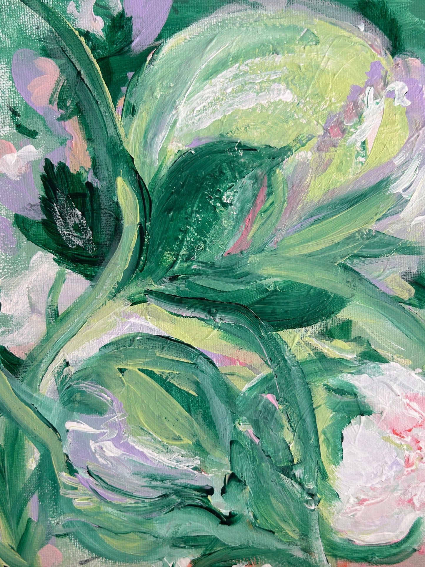 Peony bud